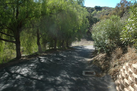 Enlarge photo 135