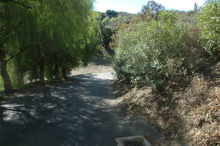 Enlarge photo 136