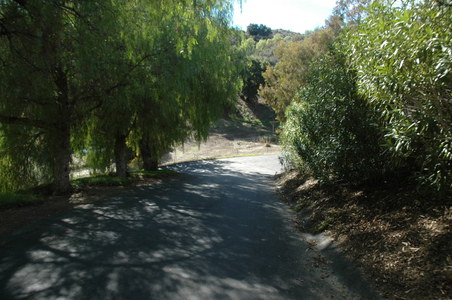 Enlarge photo 137