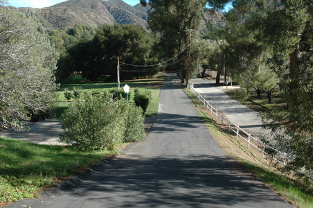 Enlarge photo 140