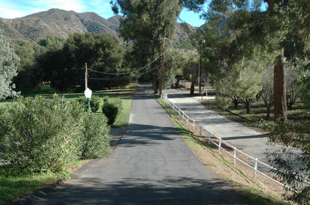 Enlarge photo 141