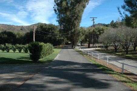 Enlarge photo 143
