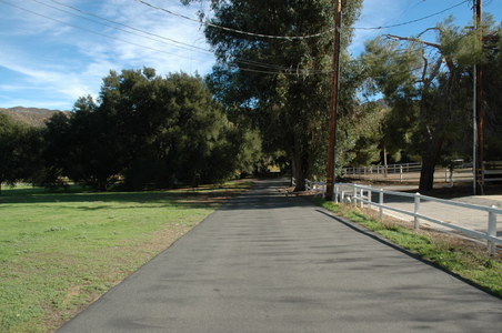 Enlarge photo 146
