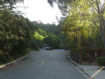 Enlarge photo 73