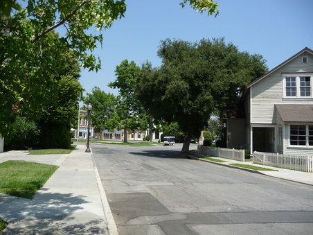 Enlarge photo 50