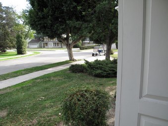 Enlarge photo 19