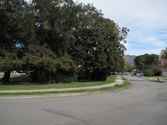 Enlarge photo 45