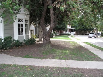 Enlarge photo 33