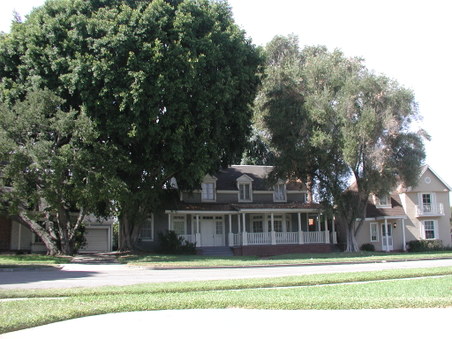 Enlarge photo 33