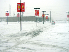 Enlarge photo 56