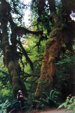 Enlarge photo 30