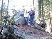 Enlarge photo 27