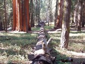 Enlarge photo 28