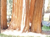 Enlarge photo 29