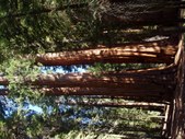 Enlarge photo 33