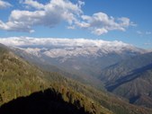 Enlarge photo 38