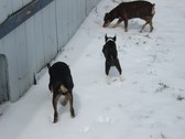 Enlarge photo 31