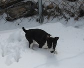 Enlarge photo 33