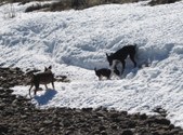 Enlarge photo 42