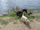 Enlarge photo 25