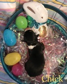 Enlarge photo 9