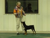 Enlarge photo 23