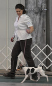 Enlarge photo 7