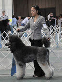 Enlarge photo 12