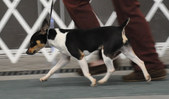Enlarge photo 27
