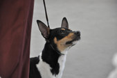Enlarge photo 41