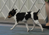 Enlarge photo 48