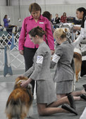 Enlarge photo 93