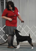 Enlarge photo 98