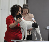 Enlarge photo 107