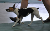 Enlarge photo 108