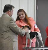 Enlarge photo 110