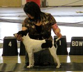 Enlarge photo 44