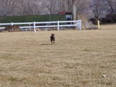 Playtime!