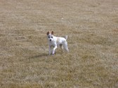 Enlarge photo 9