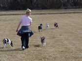 Enlarge photo 10