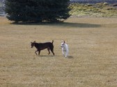 Enlarge photo 11