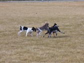 Enlarge photo 15