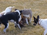 Enlarge photo 23
