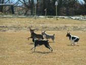 Enlarge photo 25