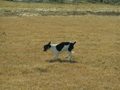 Enlarge photo 26
