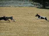 Enlarge photo 27