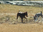 Enlarge photo 29