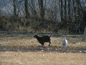 Enlarge photo 35
