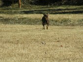 Enlarge photo 36