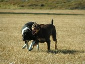 Enlarge photo 38